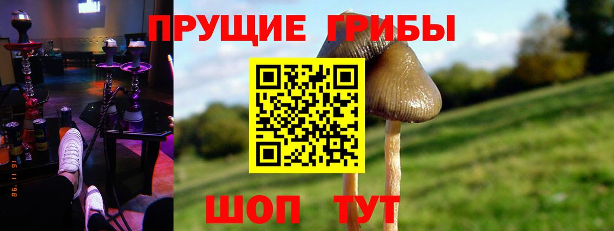 Кириши  Галлюциногенные грибы Cubensis  Вход с VPN 